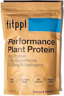 Organic Chocolate Plant-Based Protein with Superfoods, Ashwagandha, Reishi, Lions Mane